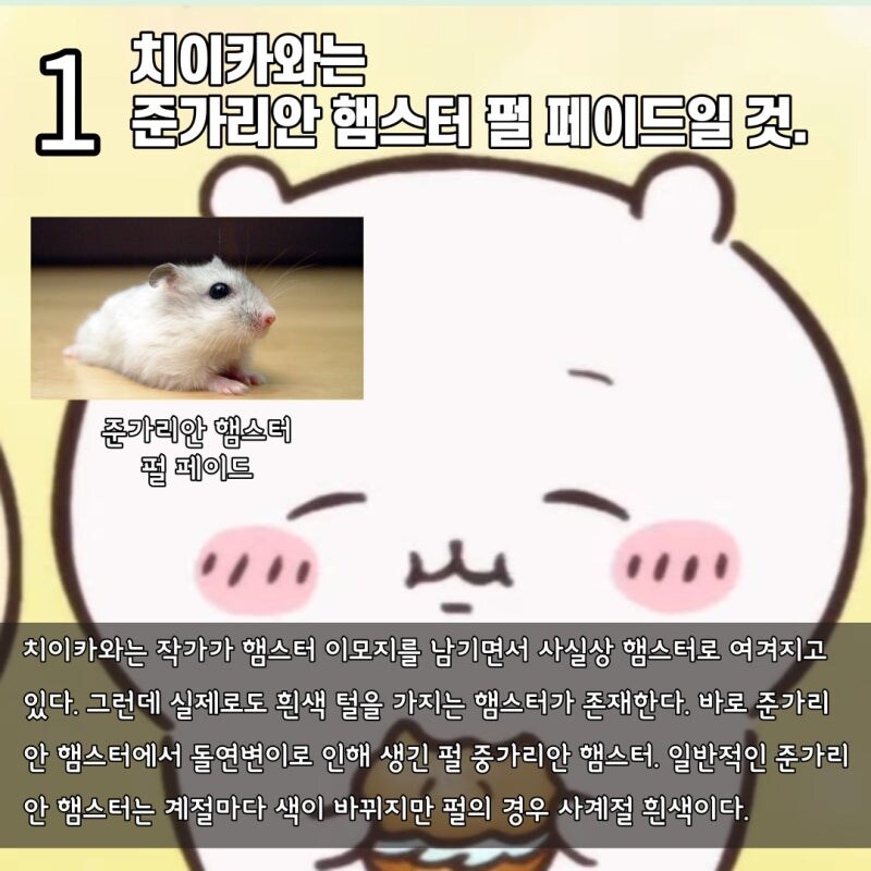 수의사가 장난으로 분석하는 치이카와_2.jpg