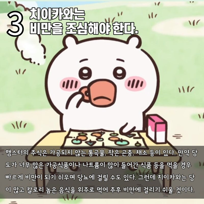 수의사가 장난으로 분석하는 치이카와_4.jpg