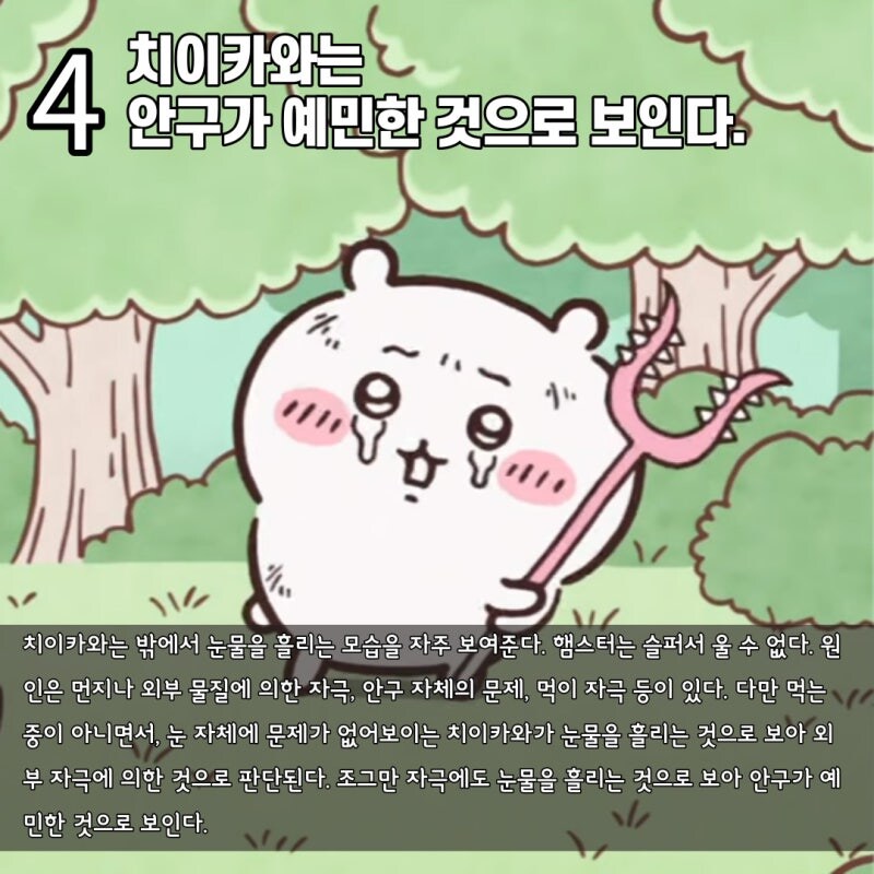 수의사가 장난으로 분석하는 치이카와_5.jpg