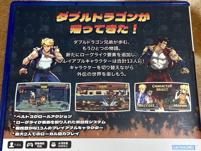 더블 드래곤 외전(GAIDEN) "라이즈 오브 더 드래곤"_10.jpg