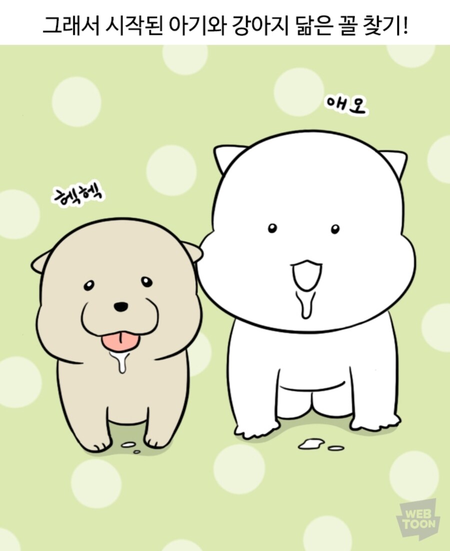 이사완료기념 타로봐드립니다._1.jpg