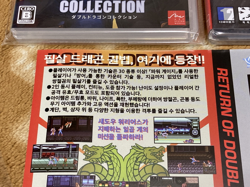 더블 드래곤 외전(GAIDEN) "라이즈 오브 더 드래곤"_142.jpg