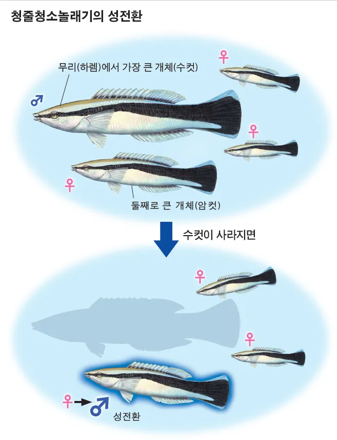 이건 뭐 암컷타락이 아니라 수컷타락임?_1.webp