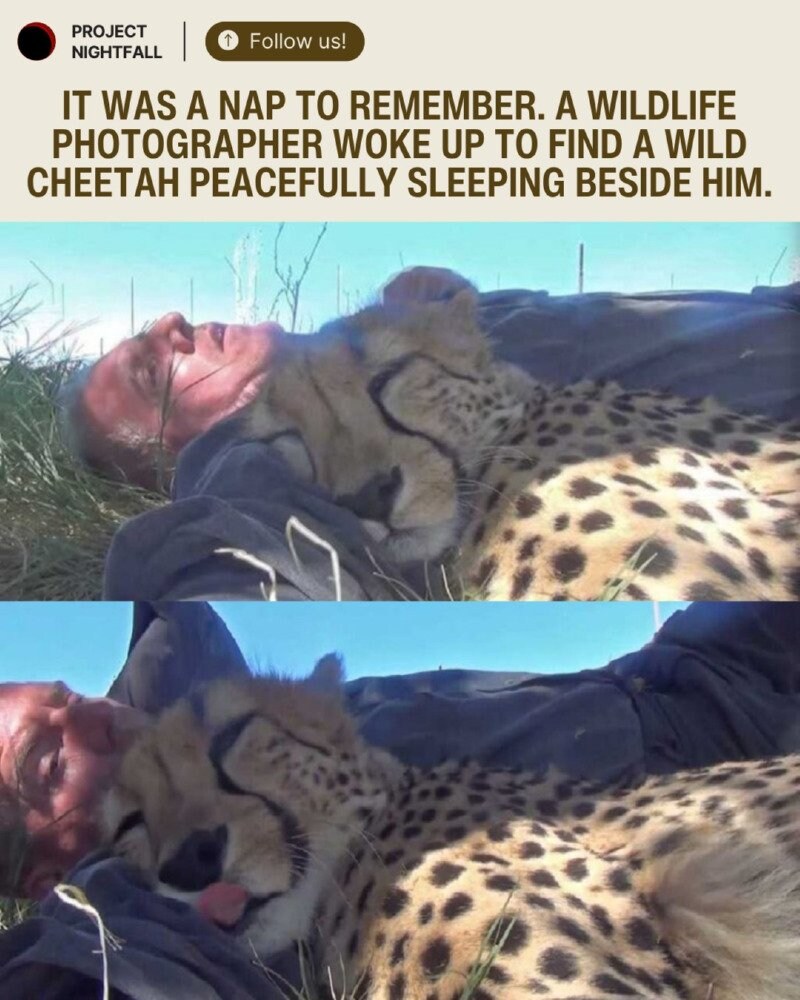 자다가 일어 났는데 모르는 냥이가 있어_1.jpg