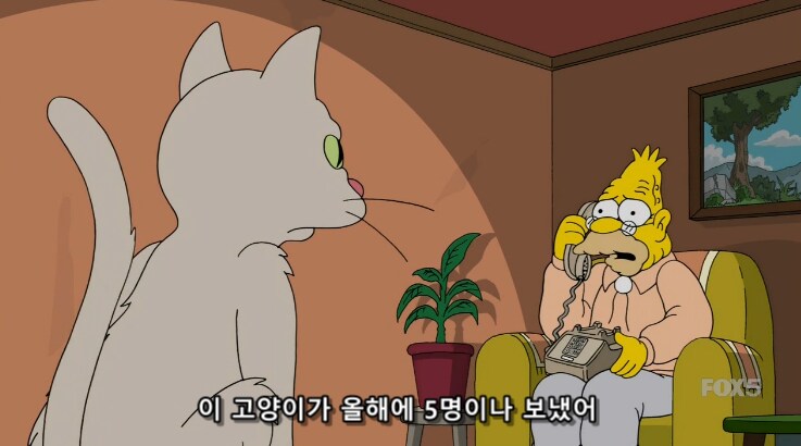 서양 노인네들이 제일 두려워 하는 미신_9.png