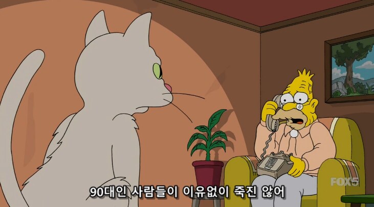 서양 노인네들이 제일 두려워 하는 미신_10.png