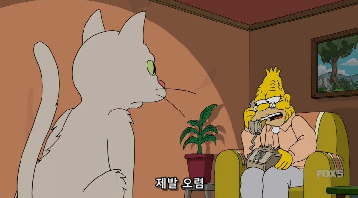 서양 노인네들이 제일 두려워 하는 미신_11.png