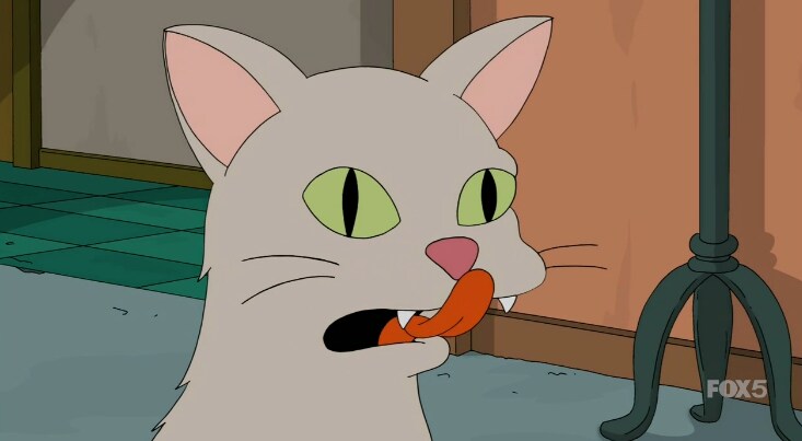 서양 노인네들이 제일 두려워 하는 미신_13.png