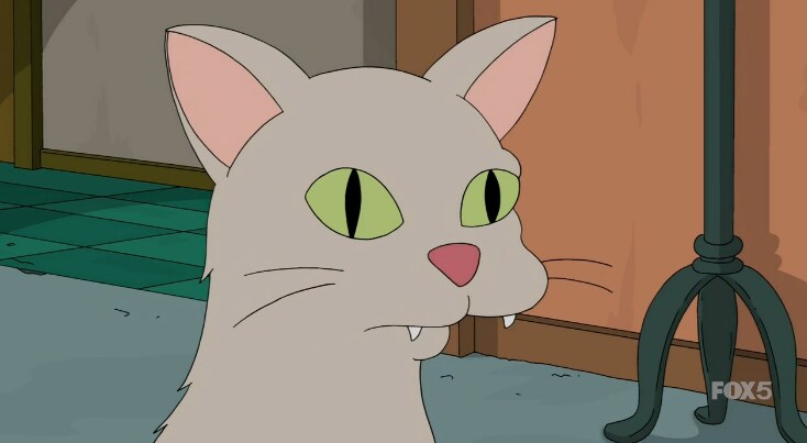 서양 노인네들이 제일 두려워 하는 미신_14.png