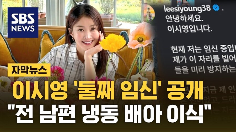 최근에 논란이 된 배우 이시영 둘째 임신