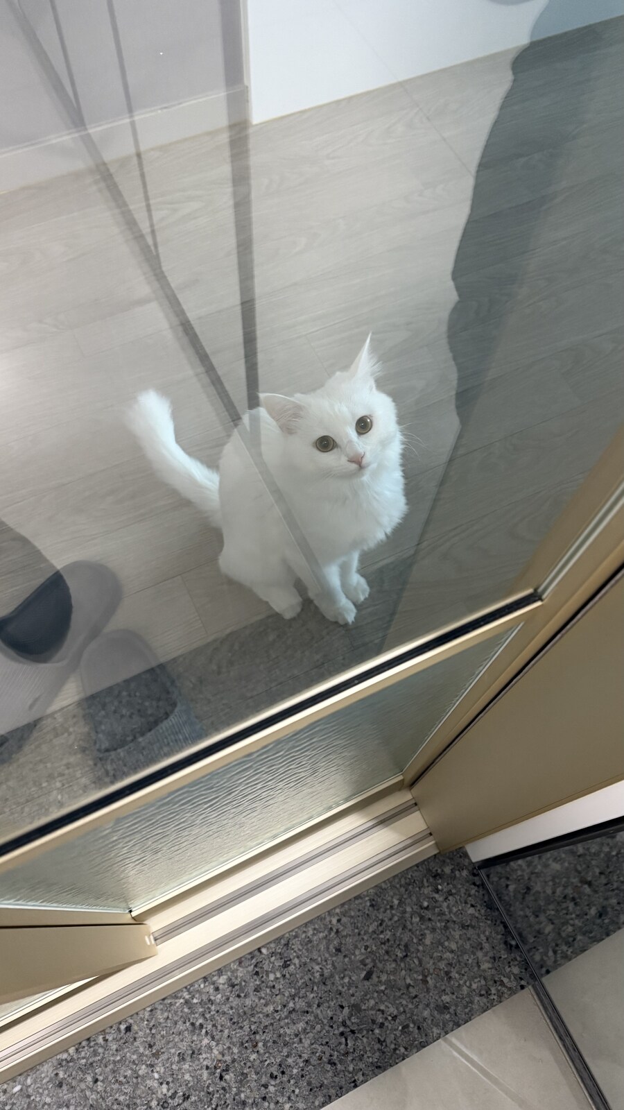 내가 현관에 중문을 단 이유_6.jpg