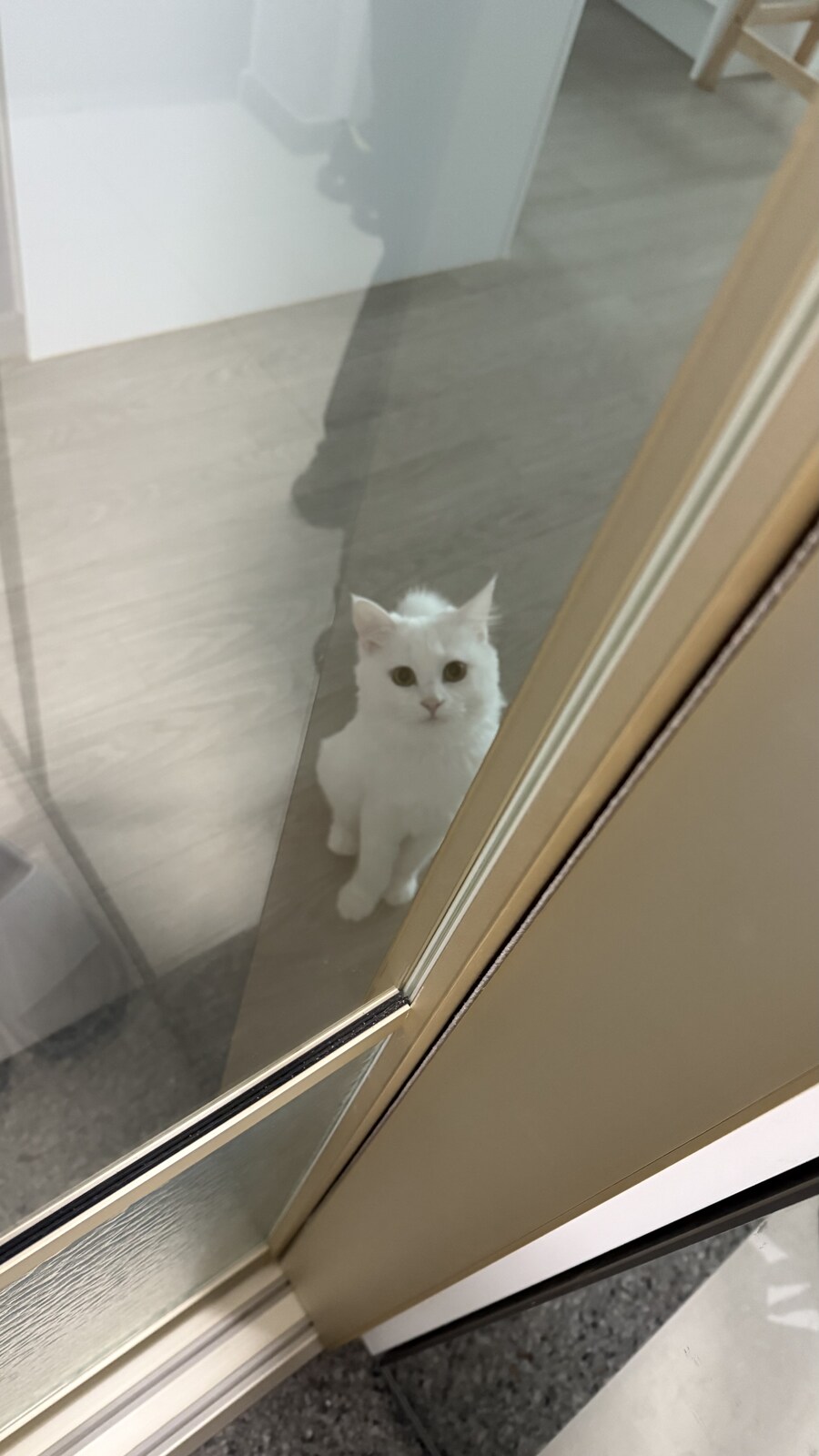내가 현관에 중문을 단 이유_11.jpg