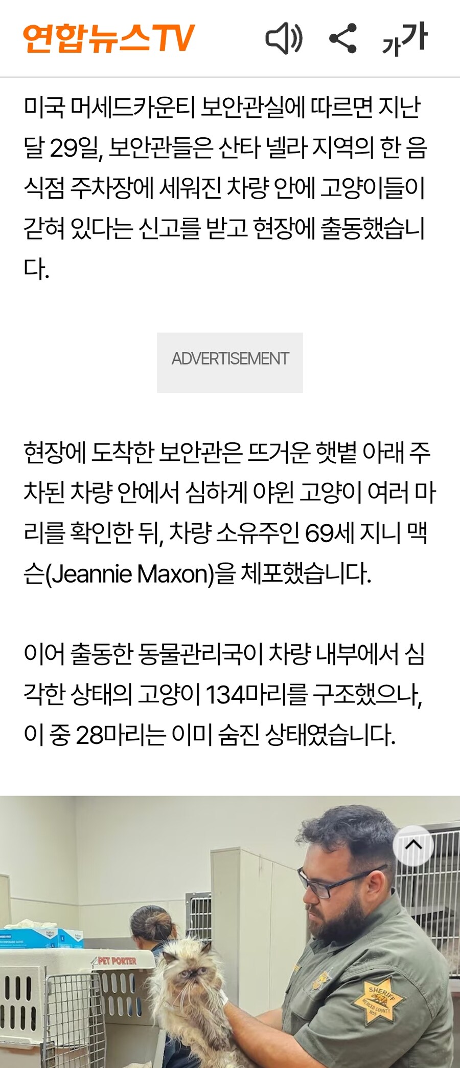해외) 폭염속 차안에 고양이들 100마리 가둔미친x_2.jpg