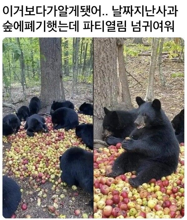 (트릭컬)사과 잔뜩먹는 곰탱이들_2.jpg