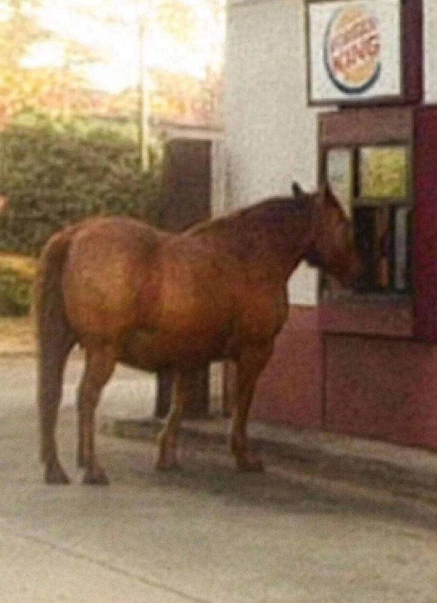 말딸) 버거킹에 온 오구리_2.jpg