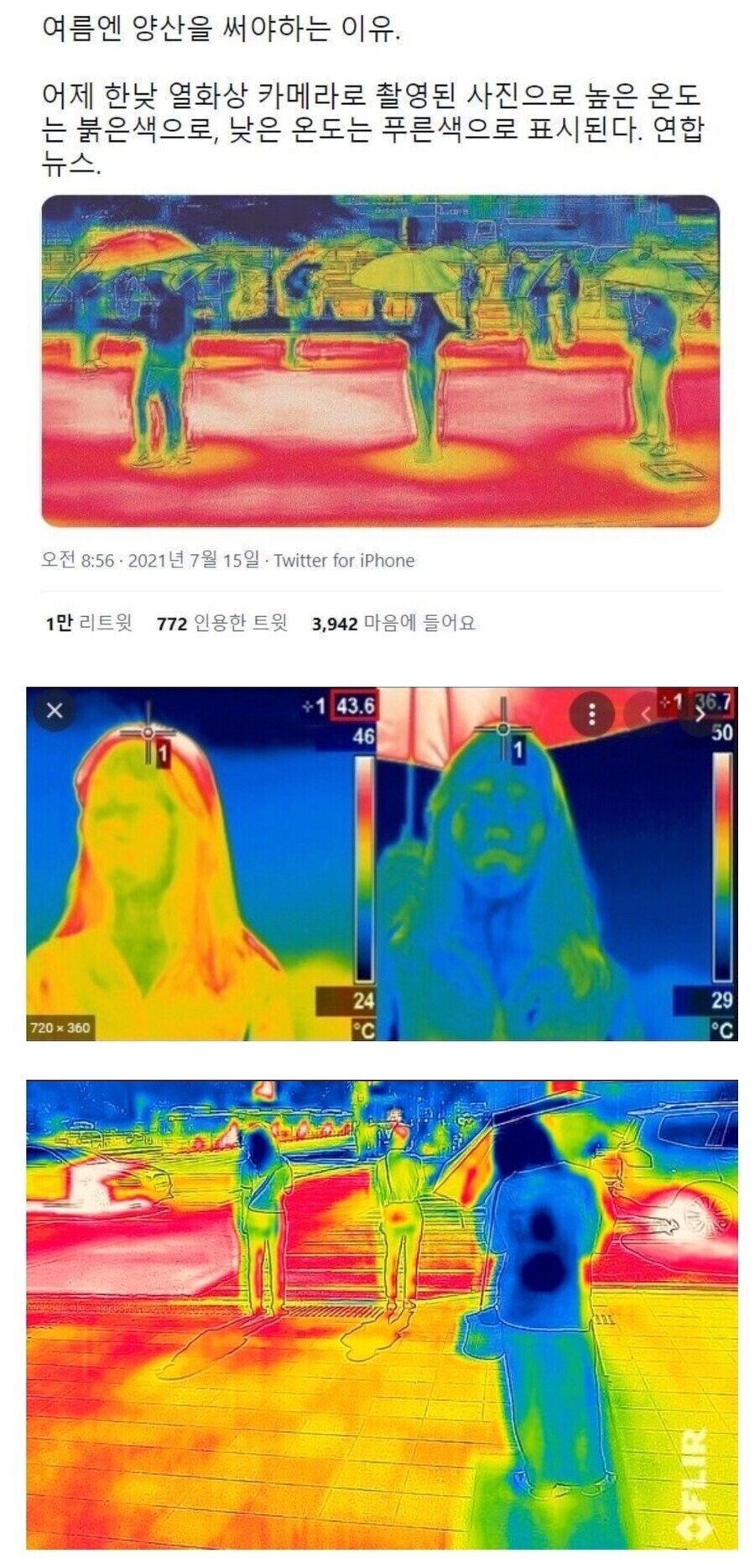 양산 쓰기 전, 쓰고 난 후 차이.JPG_1.jpg