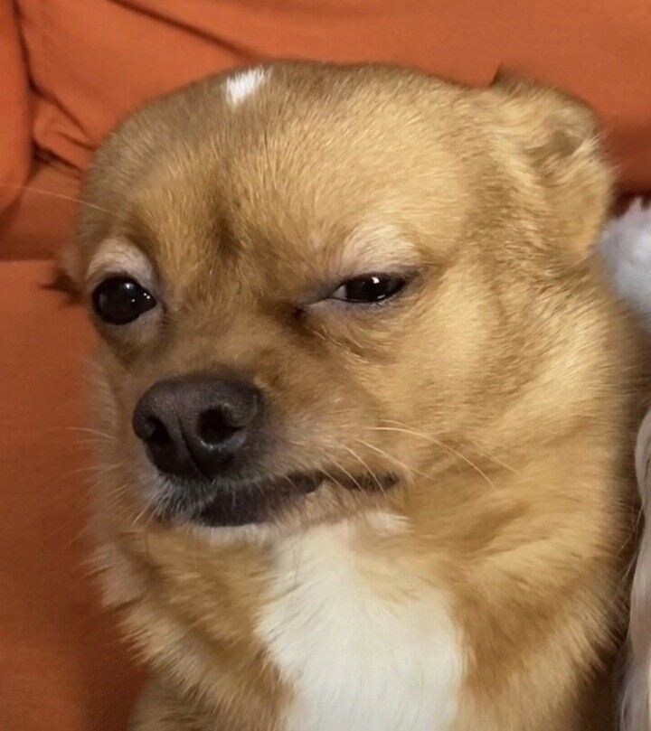 이곳이 유게?_1.jpg