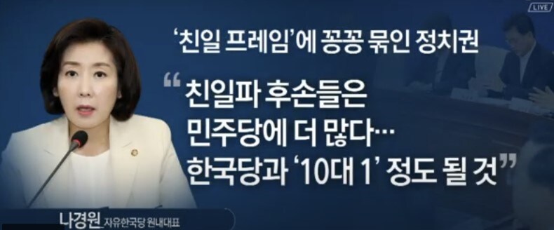 나경원“지금 필요한 건 철 지난 ‘친일·반일’ 아닌 일본의 역사 왜곡에 맞서야”_1.jpg