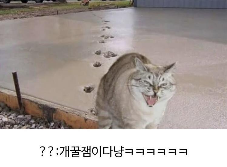 수천년동안 한결같은 동물_6.jpg