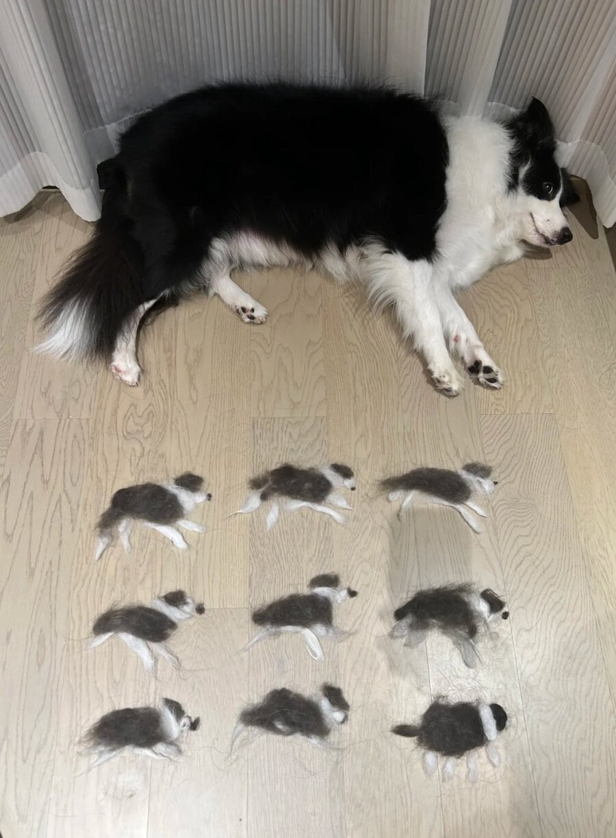 털로 낳은 아기_1.jpg