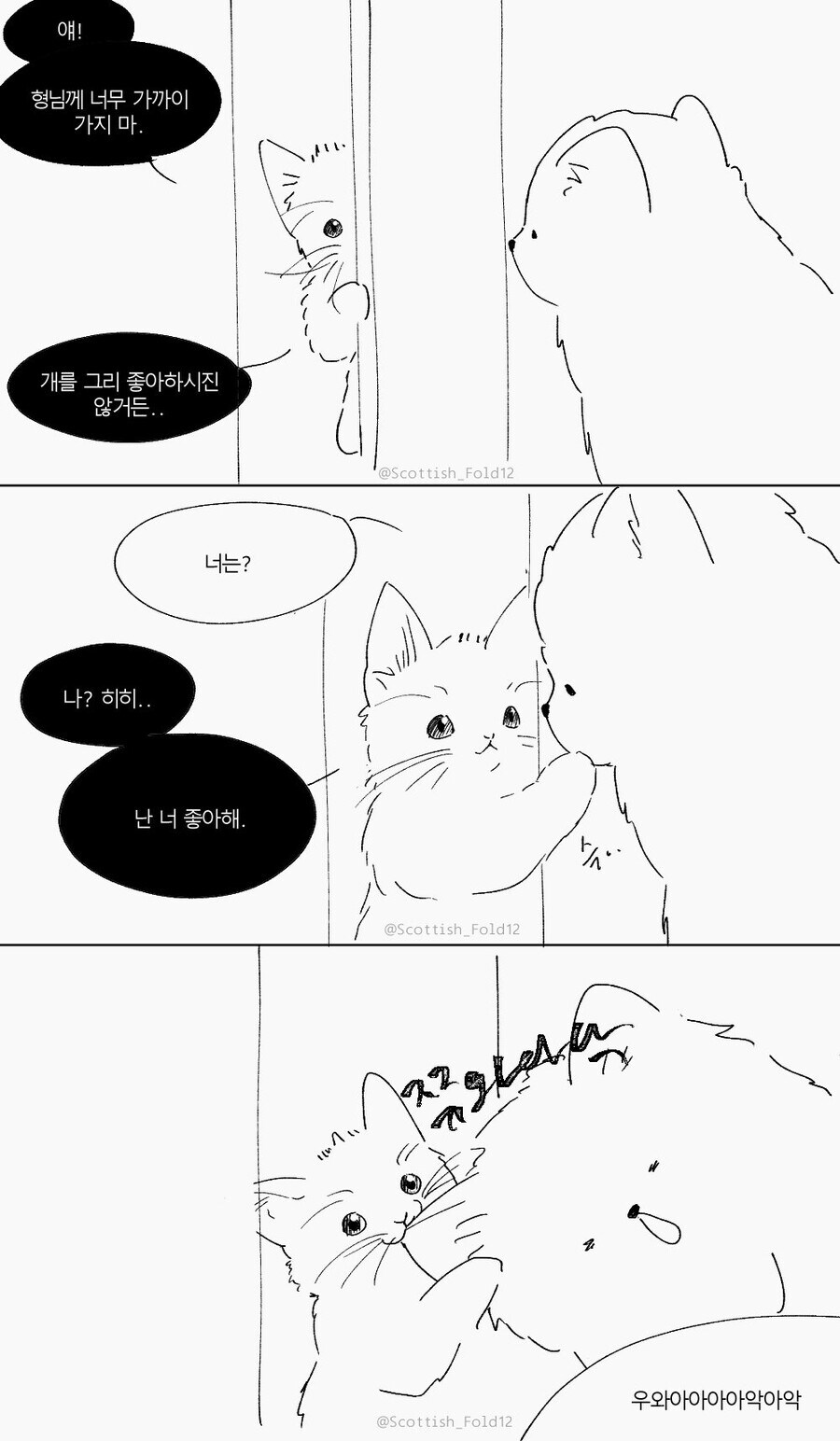 앙냥냥.jpg_4.jpg