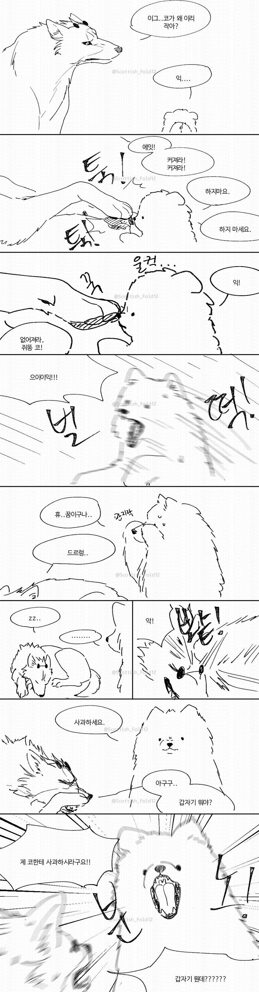 앙냥냥.jpg_5.jpg