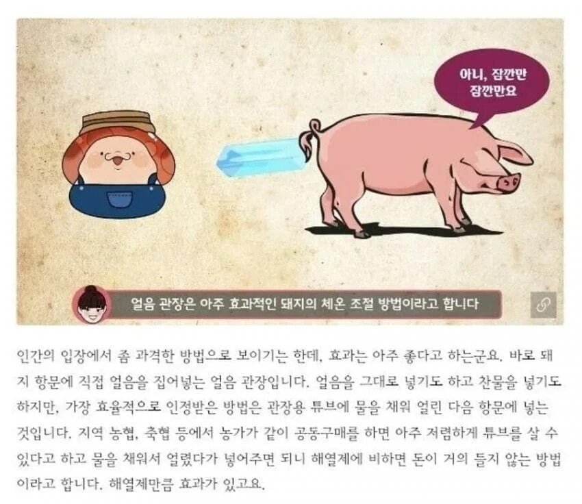 음...이거 효과 좋다는건 알겠는데......_1.jpg