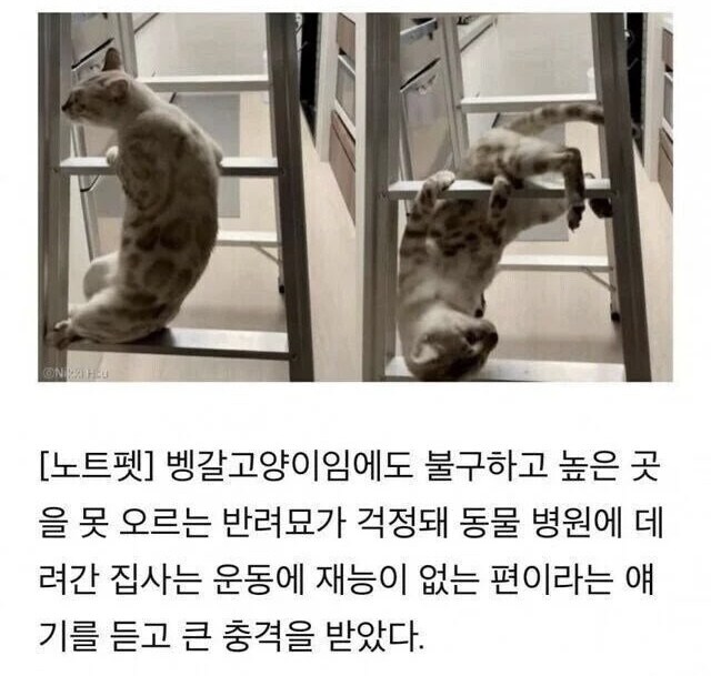 운동에 재능이 없습니다_1.jpg