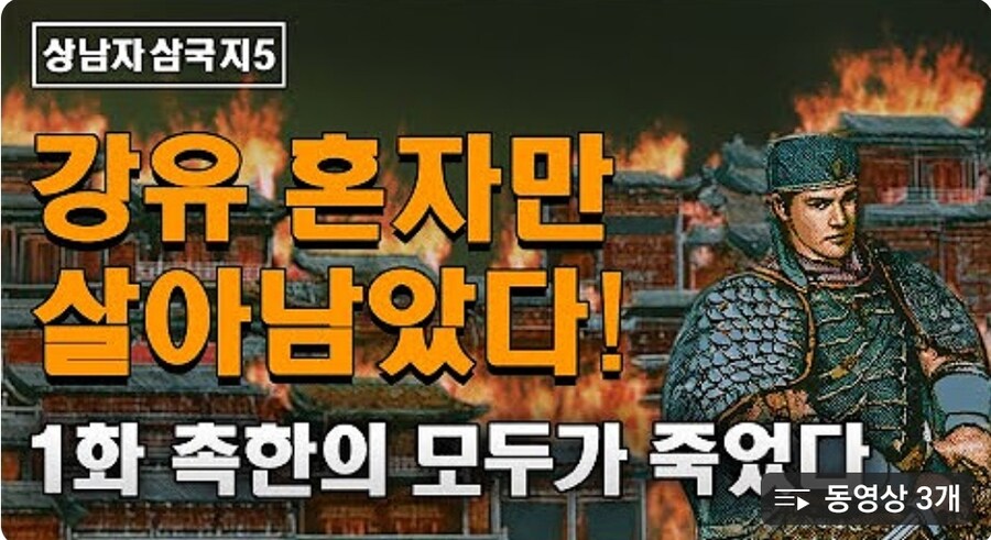 삼국지 최후의 촉장이 된 강유_25.jpg