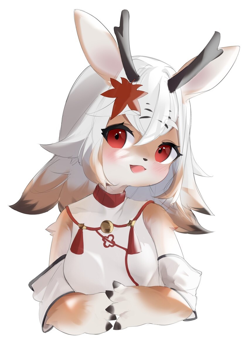 퍼리퍼리야_8.jpg
