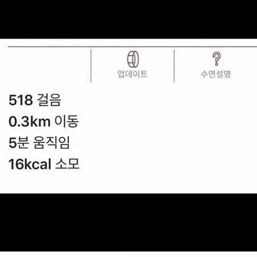 고양이의 하루.jpg_3.jpg