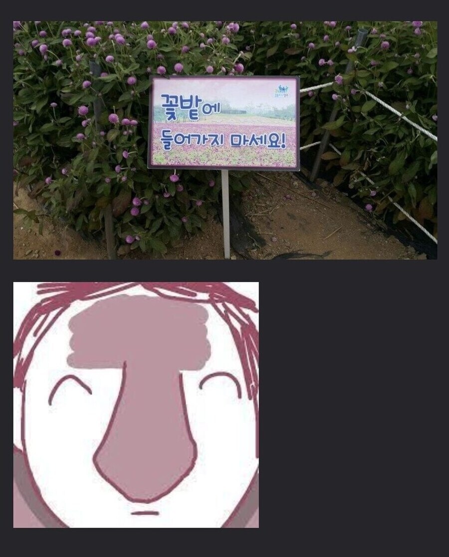 블루아카) 꽃밭에 들어가는 공주님들_5.jpg