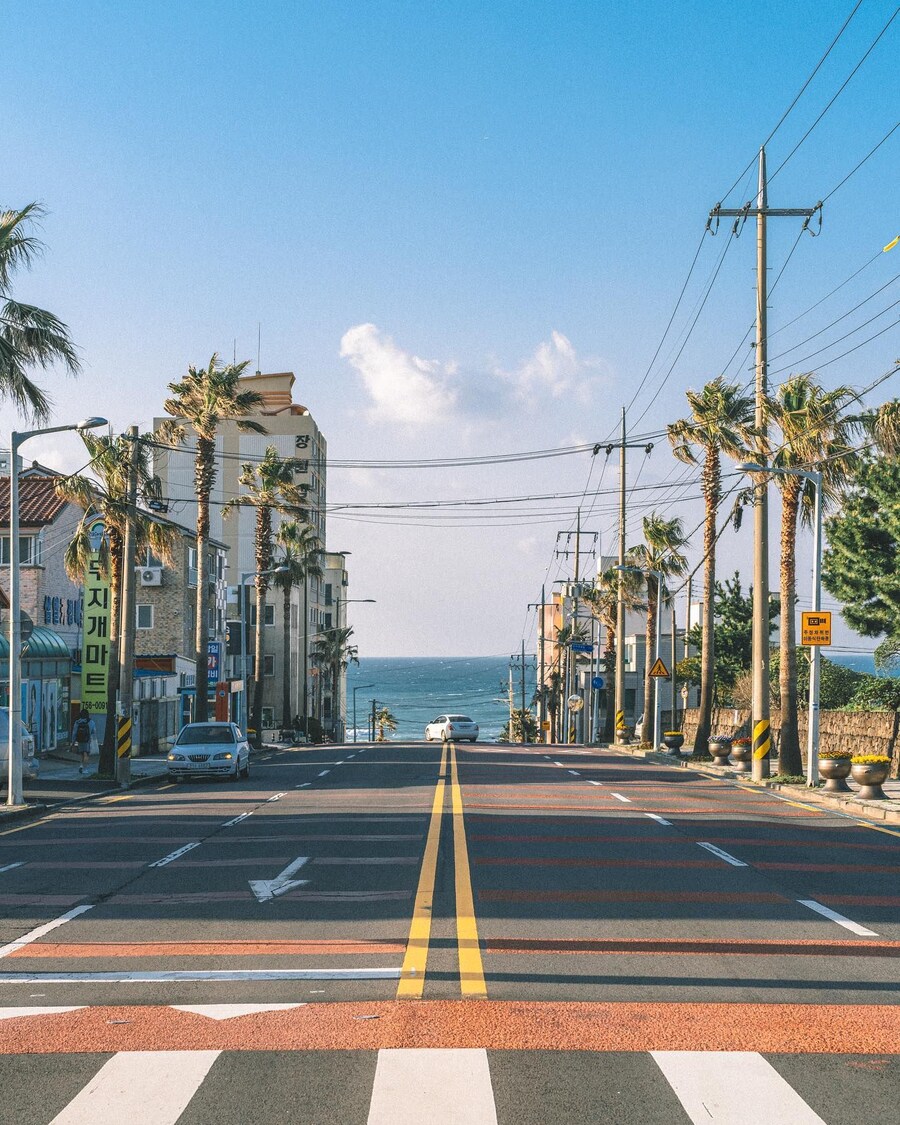 외국인들이 레딧에 올린 제주도 사진_7.jpg