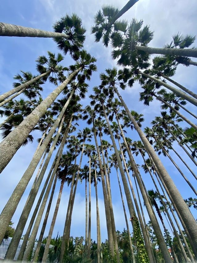 외국인들이 레딧에 올린 제주도 사진_17.jpg