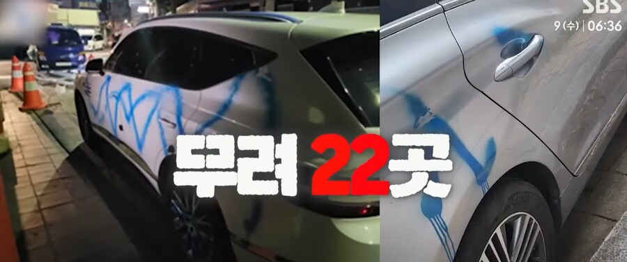 서울 전역 돌아댕기며 락카칠한 사람_3.png