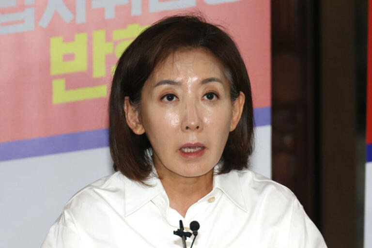 "사도광산 땐 침묵하더니"… 나경원, 군함도 의제 채택 실패 비판하다 '역풍'_1.jpg