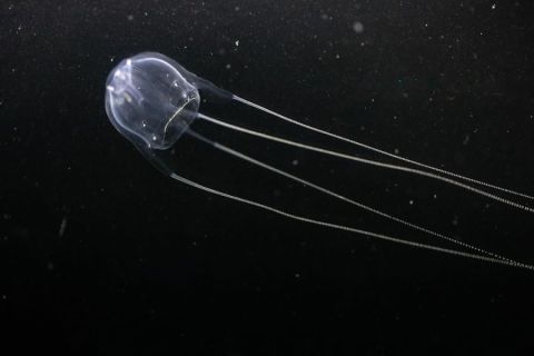 네모네모 古H파리_6.jpg