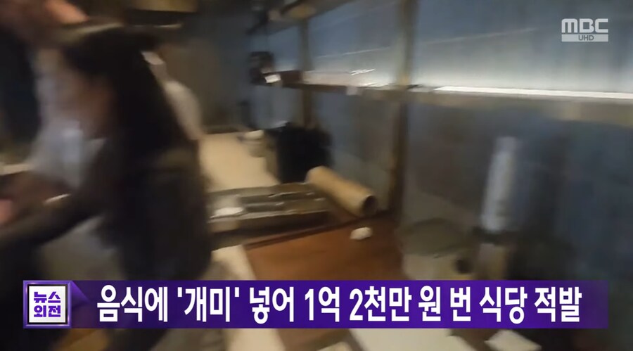 음식에 개미 넣어 1억 2천만원 번 식당 적발_1.png