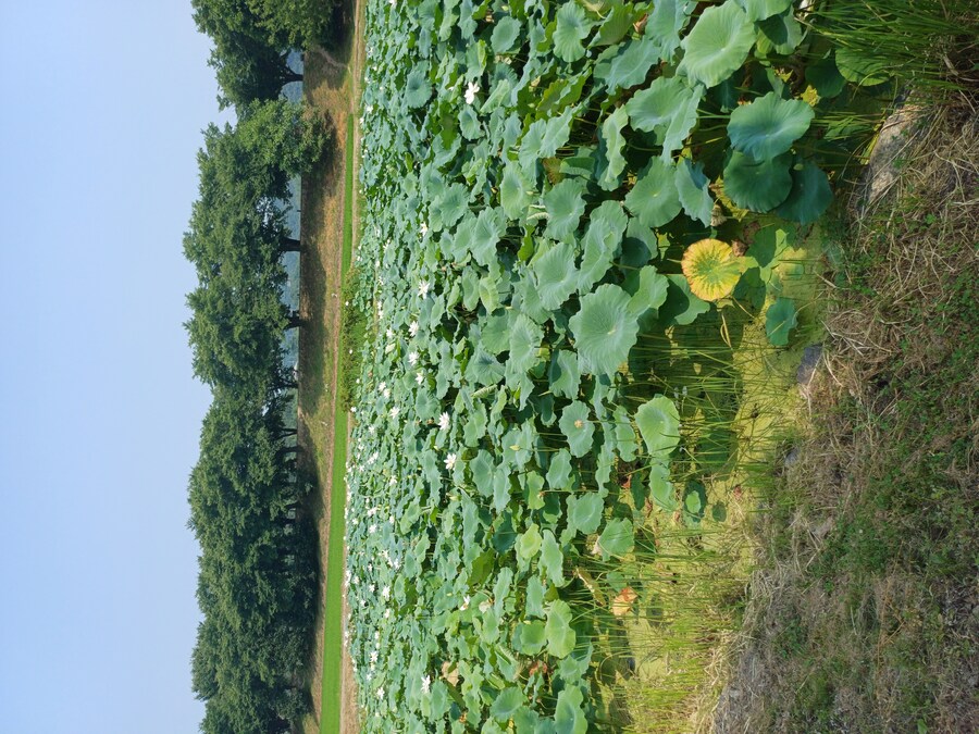 안동 여행 후기_3.jpg