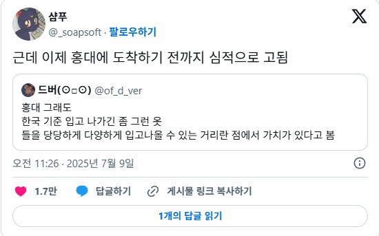 한국에서 부담 없이 자신의 패션을 뽐낼 수 있는 유일한 거리._2.png