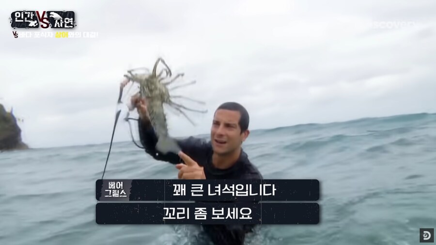 바다가재를 사냥한 베어 그릴스_2.png