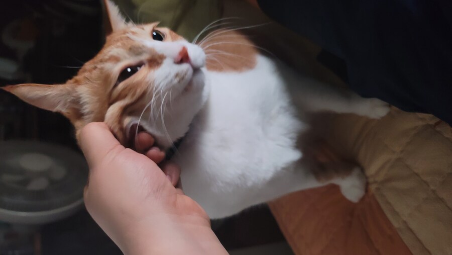 술기운 올라온다 희희_9.jpg
