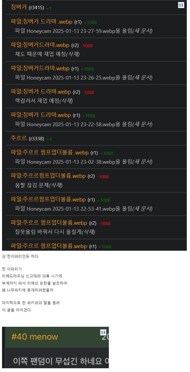 ㅇㅇㄱ)나무위키에 기록될수 없는 사건들_9.png