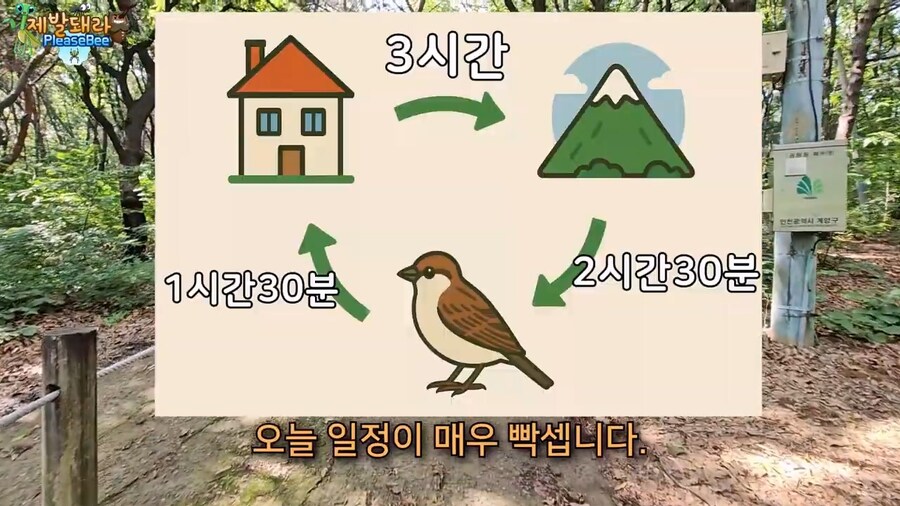 참새가 러브버그 먹는지 직접 확인해본 유튜버_5.jpg