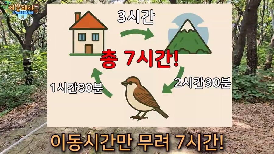 참새가 러브버그 먹는지 직접 확인해본 유튜버_6.jpg