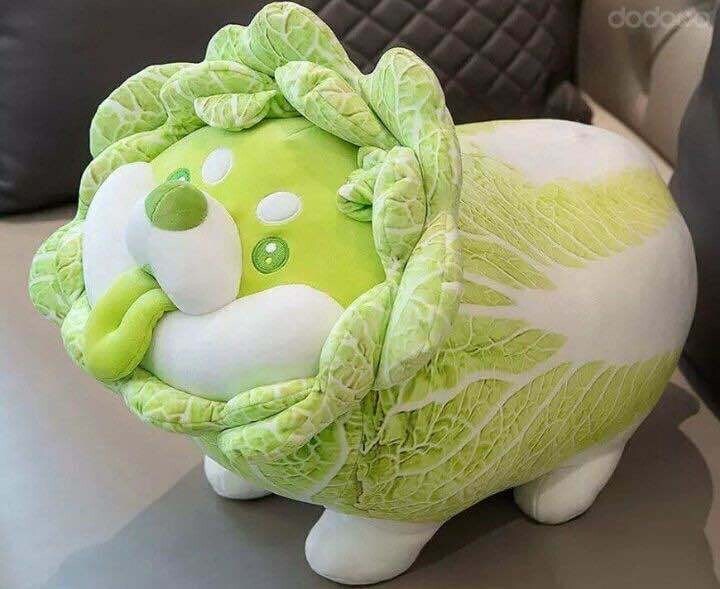 오 뭐지 오늘 가을인가?_1.jpg