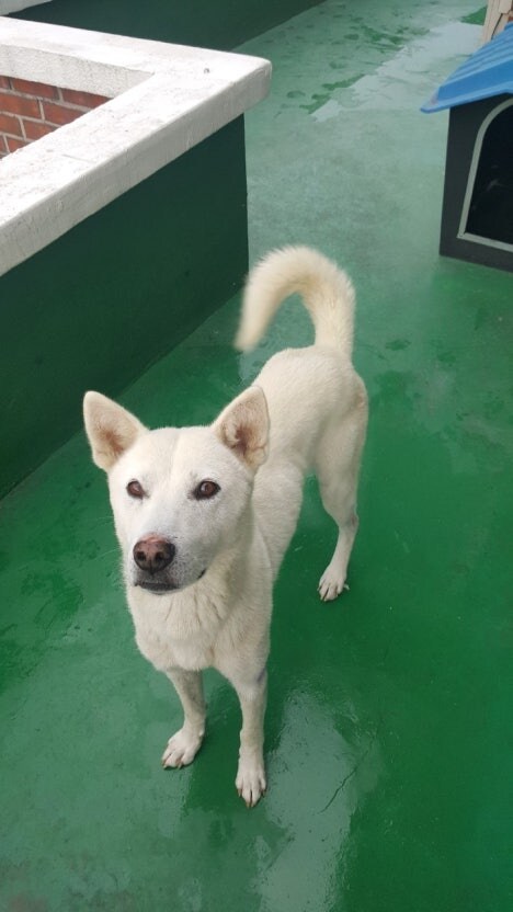 작성자 특_1.jpg