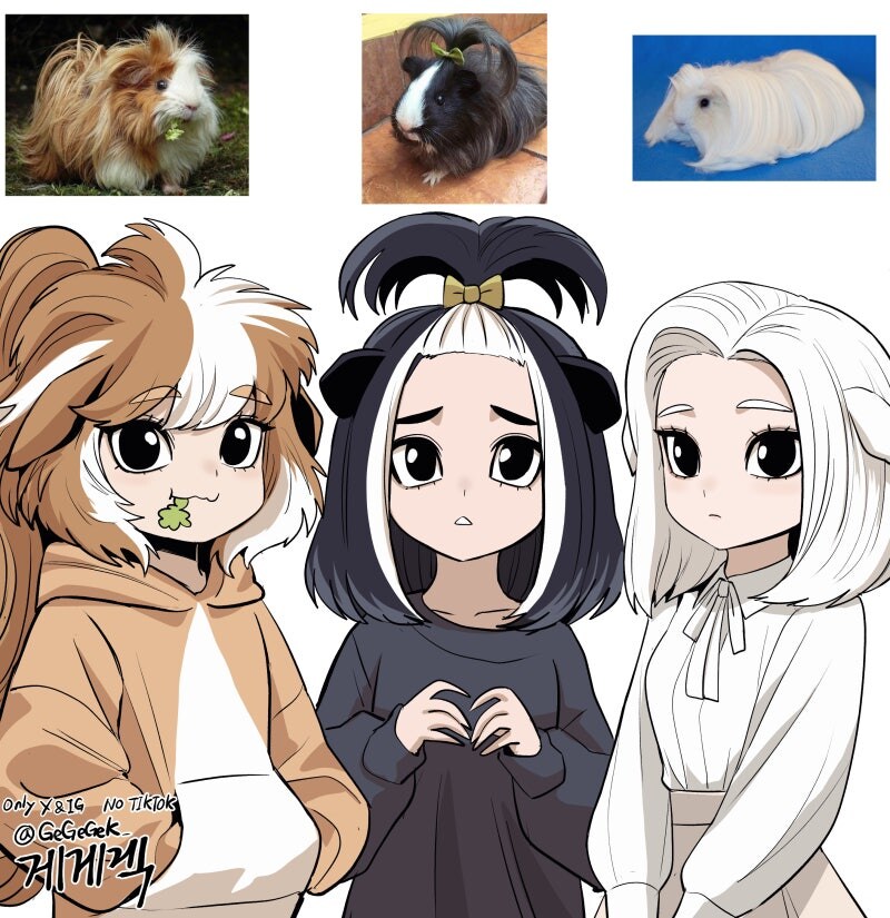 사이좋은 기니피그 자매_1.jpg