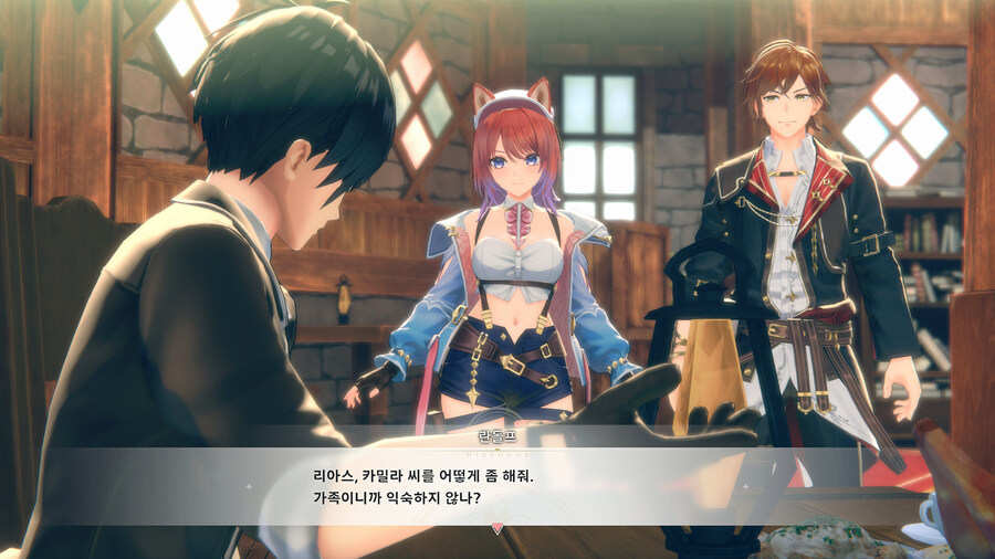 디지털터치, 진홍의 연금술사와 순백의 수호자 ~레슬레리아나의 아틀리에~ 최신 정보_23.jpg