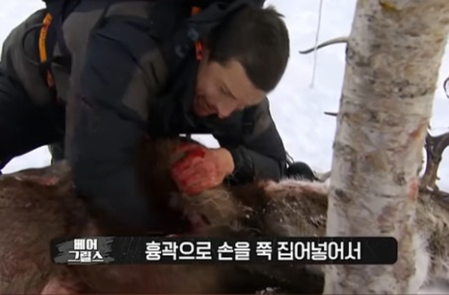 최고의 음식을 먹는 베어 그릴스_3.jpg